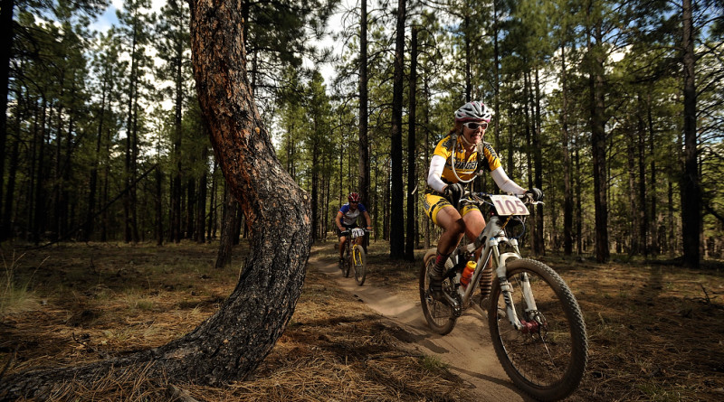 mountain biker at 24 hours in the enchanted forest