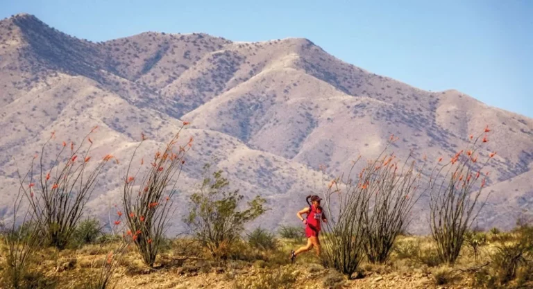 Old Pueblo Endurance Runs 2026 – Rated