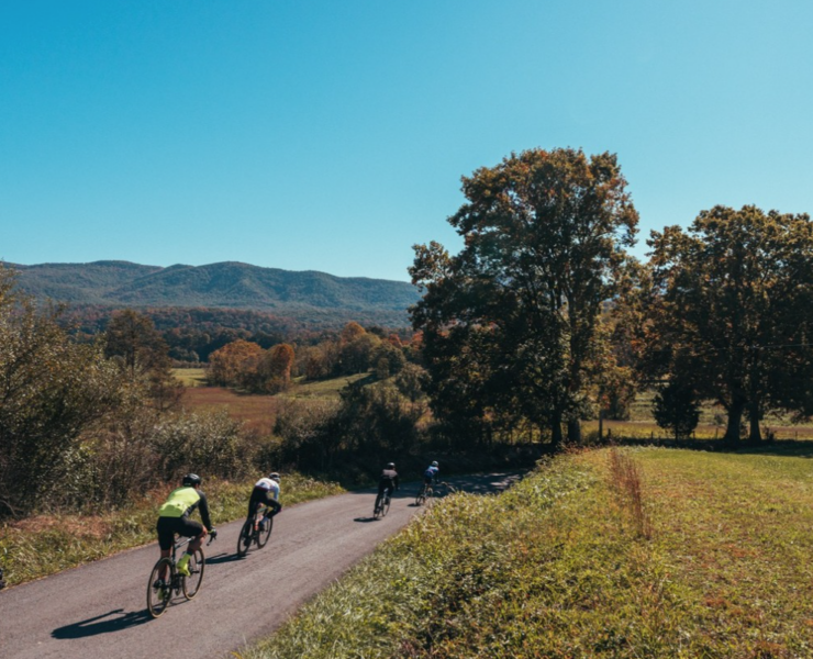 road cycling at Virginia's Blue Ridge Gran Fondo