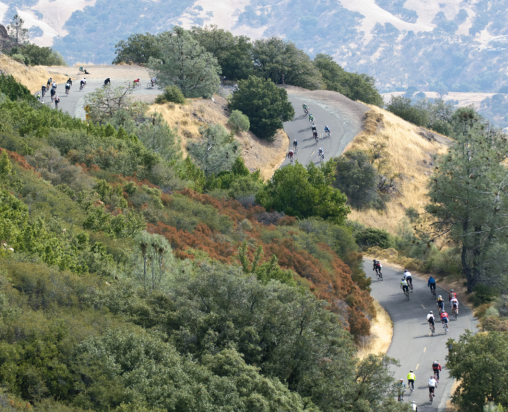 road cyclist at mt. diablo challenge