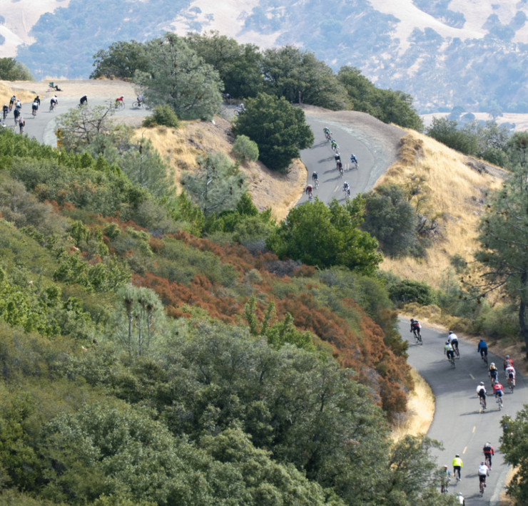 Best Road Cycling Events California 2024 Strambecco