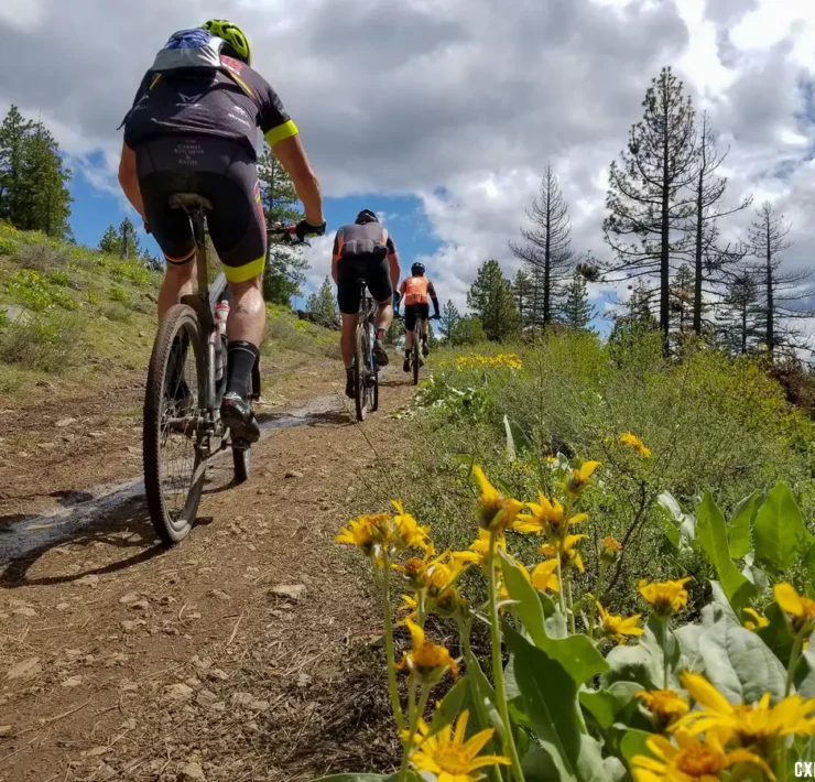 Riding Lost and Found Gravel Festival