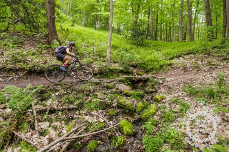 mountain biker