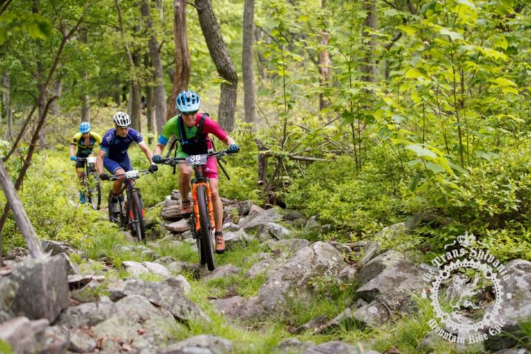 mountain biker