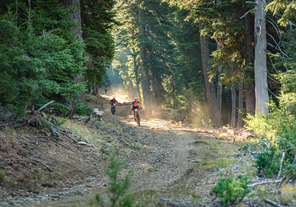 A mountain bike rider comes close to the camera, with riders following in the near distance. Sun gleams through the forested trees and hits the ground at various points. 
