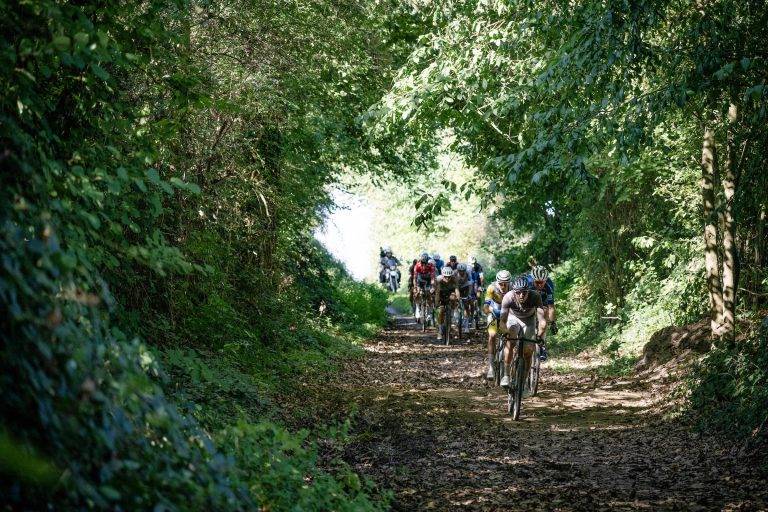 Homepage-doorscrollen-4-768x512 Pack of gravel riders on canopied trail in Belgium