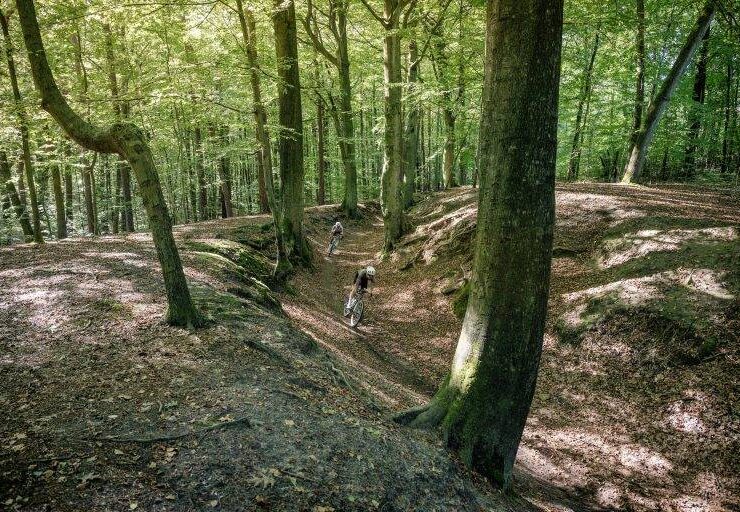 Riders on forested trail in Belgium