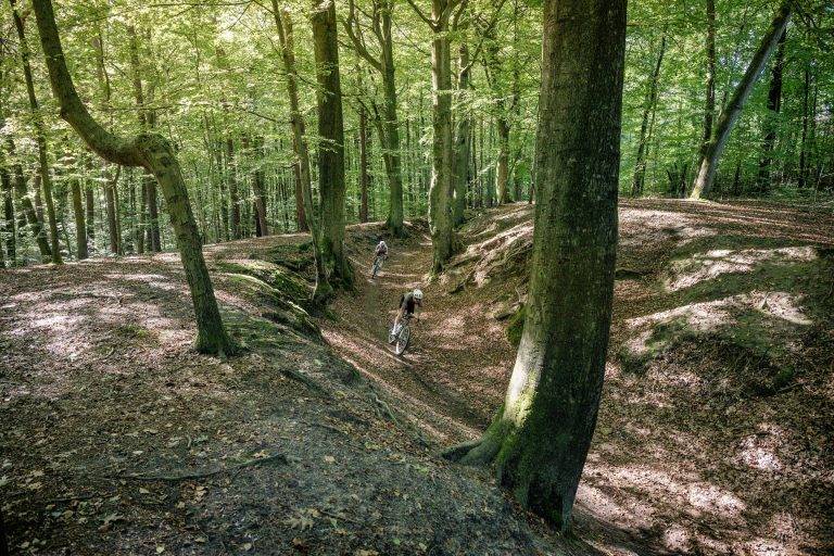 Riders on forested trail in Belgium