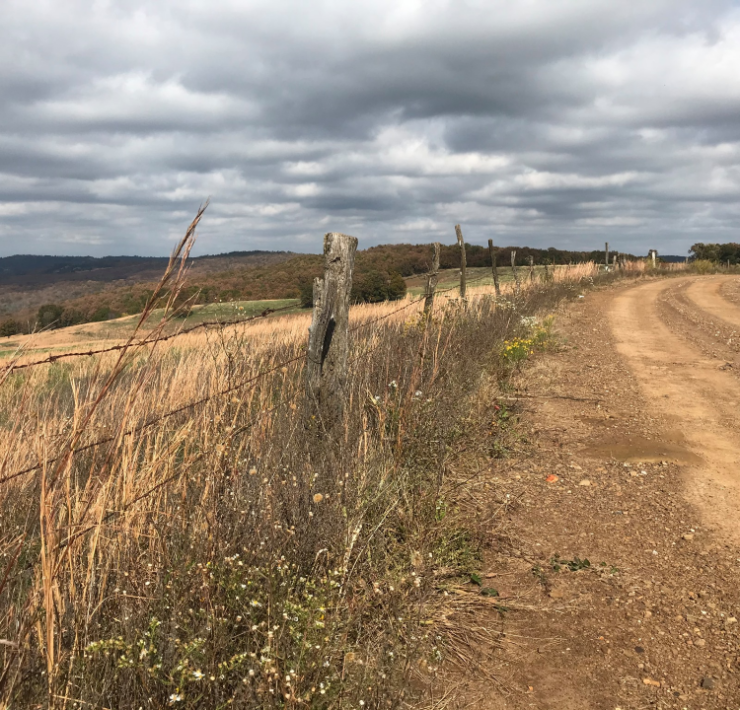 Dirt road in Arkansas countryside