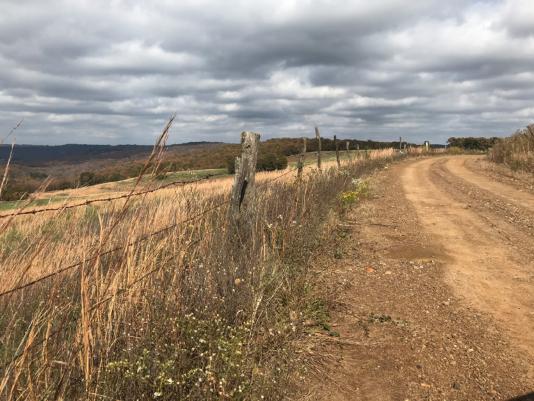Chinkapin Hollow Gravel Grinder 2026