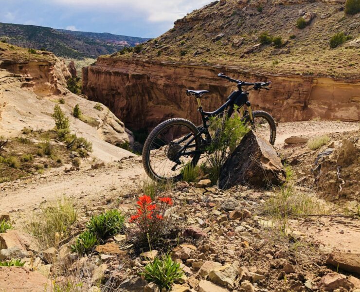 Solo bike pic with Colorado background