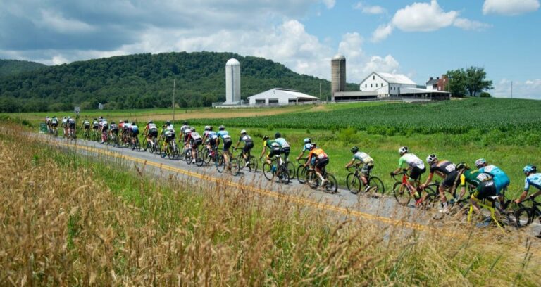 Riders in Gran Fondo National Championship race