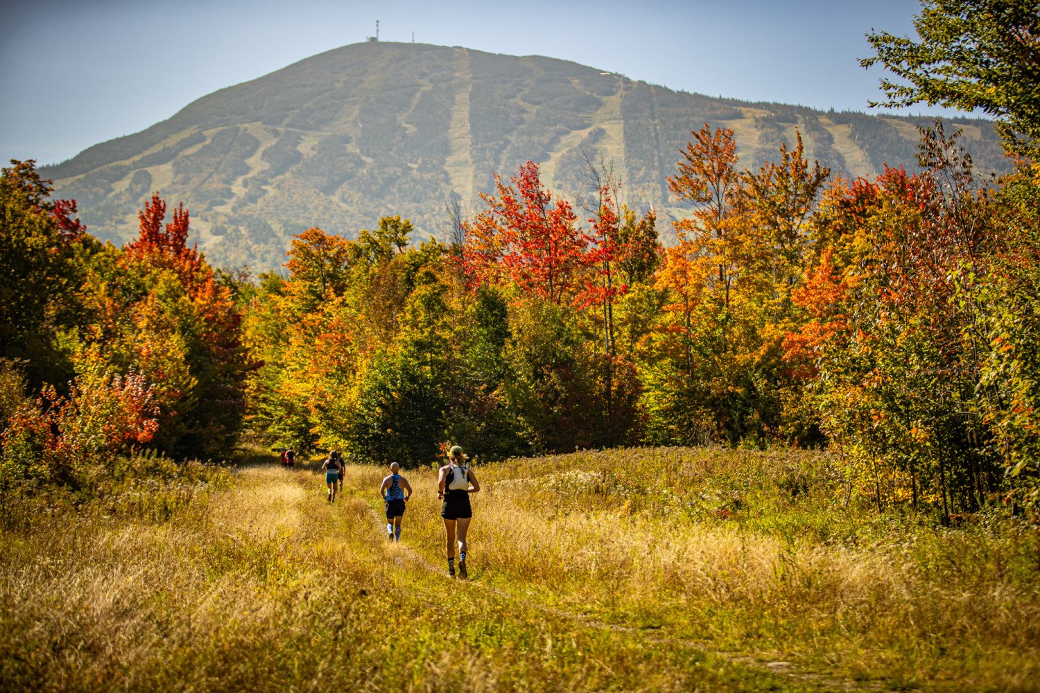 Runners on trail in Xterra Sugarloaf Maine