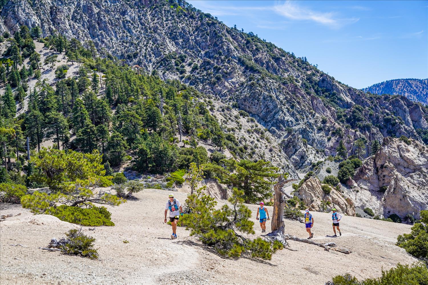 trail runners at the angeles crest 100 trail race ac100